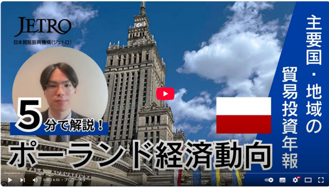 レポート・動画のイメージ画像