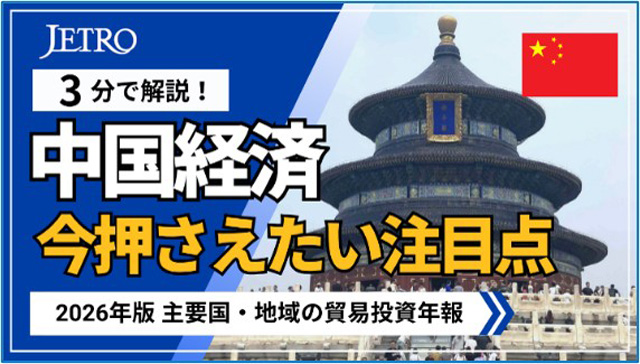 【参考】レポート・動画のイメージ画像