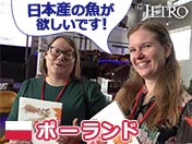 ポーランド 日本産の魚が欲しいです！