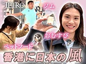 香港に日本の風 ペットフード ジム おむすび
