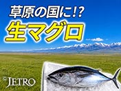 草原の国に！？ 生マグロ