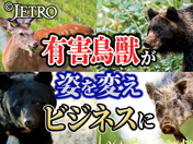 有害鳥獣が姿を変えビジネスに