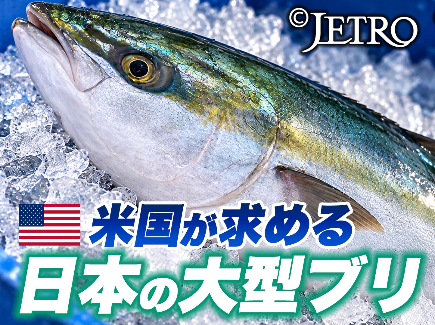 米国が求める日本の大型ブリ