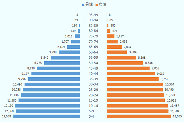 2015年のインドネシアの年齢別推計人口について、男性は、0-4歳が12,558千人、5-9歳が12,068千人、10-14歳が12,190千人、15-19歳が11,580千人、20-24歳が11,136千人、25-29歳が10,753千人、30-34歳が10,490千人、35-39歳が9,796千人、40-44歳が9,177千人、45-49歳が8,130千人、50-54歳が6,775千人、55-59歳が5,542千人、60-64歳が3,998千人、65-69歳が2,469千人、70-74歳が1,707千人、75-79歳1,015千人、80-84歳439千人、85-89歳が180千人、90-94歳が33千人、95-99歳が3千人と続く。 2015年のインドネシアの年齢別推計人口について、女性は、0-4歳が12,035千人、5-9歳が11,584千人、10-14歳が11,487千人、15-19歳が10,932千人、20-24歳が10,723千人、25-29歳が10,490千人、30-34歳が10,564千人、35-39歳が9,757千人、40-44歳が9,037千人、45-49歳が8,058千人、50-54歳が6,836千人、55-59歳が5,508千人、60-64歳が3,804千人、65-69歳が2,804千人、70-74歳が2,053千人、75-79歳1,417千人、80-84歳674千人、85-89歳が285千人、90-94歳が65千人、95-99歳が8千人と続く。 