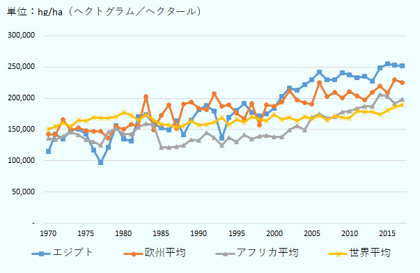 エジプト、アフリカ平均、欧州平均、世界平均のオレンジ単収の比較。1970年から2015年にかけて、いずれも年により増減はあるものの、概ね増加傾向。エジプトは2001年以降、他のいずれの数値も上回っている。 