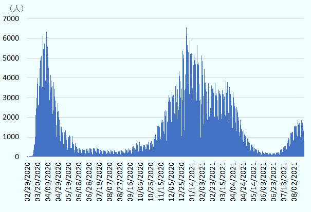 2020年2月29日～2021年8月21日の期間における新規感染者数について、2020年4月、2021年1月、2021年8月の時期を頂点とした3つの山が確認できる。 それぞれの山の最高値は、1つ目が6,000人～7,000人の範囲、2つ目も6,000人～7,000人の範囲、3つ目が1,000人～2,000人の範囲となっている。 