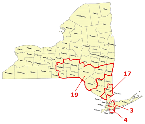 図はニューヨーク州の地図のうち、共和党が民主党から奪取した4つの選挙区を示したもの。第3、4区はニューヨーク市の東側に隣接して横たわるロングアイランド地域内に位置する。また、第17、19区はアップステート地域の南部に位置する。 