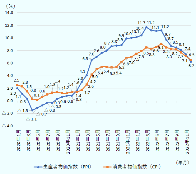 両指数ともに2021年より急速に上昇し、ジェトロ調査時点の2022年9月でPPIは前年同月比8.5％上昇、CPIは8.2％上昇。