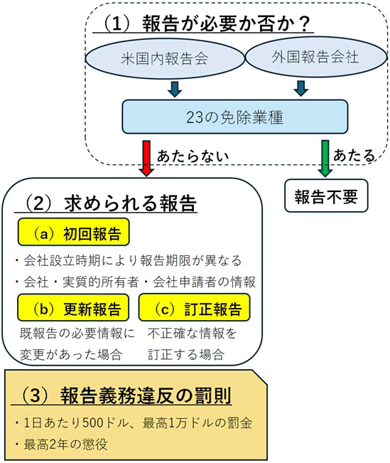BOI報告実務の流れのフローチャート。(1)報告が必要か否か、は、米国内報告会社、外国報告会社とも23の免除業種にあたれば報告不要。あたらない場合は(2)求められる報告が必要になり、次の3つがある。(a)初回報告は、会社設立時期により報告期限が異なる。会社・実質的所有者・会社申請者の情報が必要。(b)更新報告は、既報告の必要情報に変更があった場合に必要。(c)訂正報告は、不正確な情報訂正する場合に必要。(3)報告義務違反の罰則が設けられており、罰金と懲役がある。