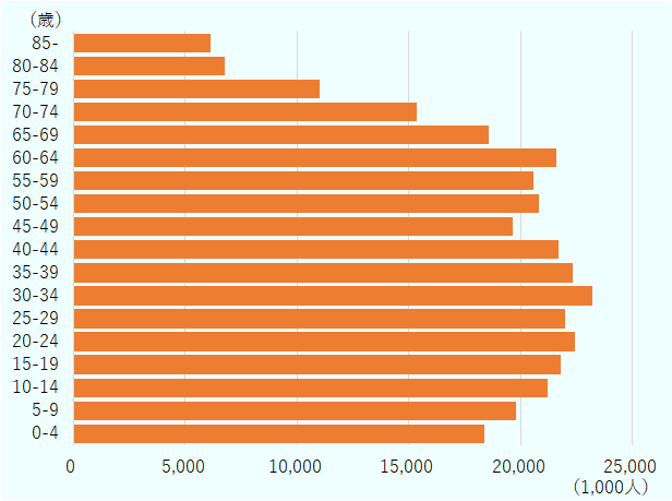 85歳以上 18,358千人、80-84歳19,770千人、75-79歳 21,220千人、70-74歳21,786千人、65-69歳22,446千人、60-64歳22,008千人、55-59歳23,226千人、50-54歳22,336千人、45-49歳21,712千人、40-44歳19,641千人、35-39歳20,836千人、 30-34歳20,554千人、25-29歳21,574千人、20-24歳18,559千人、15-19歳15,339千人、10-14歳 11,005千人、5－9歳 6,759千人、0-4歳 6,160千人となっている。 