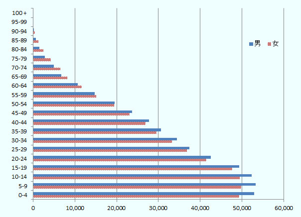 0-4歳、男5,293,211人、女4,940,573人、 5-9歳、男5,332,287人、女4,989,256人、 10-14歳、男5,237,006人、女4,942,604人、 15-19歳、男4,931,506人、女4,773,848人、 20-24歳、男4,256,999人、女4,151,657人、 25-29歳、男3,746,311人、女3,677,412人、 30-34歳、男3,443,582人、女3,329,347人、 35-39歳、男3,057,323人、女2,956,630人、 40-44歳、男2,778,661人、女2,692,927人、 45-49歳、男2,367,809人、女2,312,840人、 50-54歳、男1,953,952人、女1,940,898人、 55-59歳、男1,475,861人、女1,511,287人、 60-64歳、男1,064,116人、女1,164,283人、 65-69歳、男680,227人、女817,330人、 70-74歳、男492,152人、女650,410人、 75-79歳、男286,079人、女421,036人、 80-84歳、男145,937人、女248,251人、 85-89歳、男64,125人、女124,386人、 90-94歳、男19,598人、女40,504人、 95-99歳、男5,684人、女12,415人、 100歳以上、男1,831人、女2,962人。 