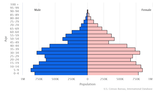 カンボジアの人口ピラミッドは、高齢層が少ないが、若者が多い形となっている
