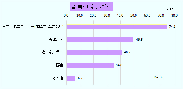 資源・エネルギー： 中東進出日系企業が挙げた「今後有望視する個別ビジネス分野」。「資源・エネルギー」では、「再生可能エネルギー」（74.1％）が最も高い割合を占めた。 