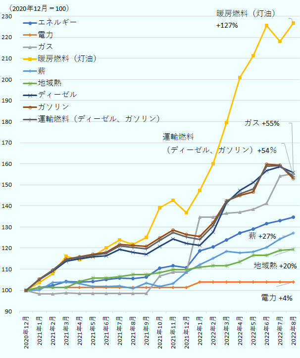 2021年1月の電力101、ガス98、暖房燃料（灯油）104、薪100、地域熱101、運輸燃料（ディーゼル、ガソリン）105。2021年2月の電力101、ガス98、暖房燃料（灯油）108、薪104、地域熱101、運輸燃料（ディーゼル、ガソリン）109。2021年3月の電力101、ガス99、暖房燃料（灯油）116、薪104、地域熱101、運輸燃料（ディーゼル、ガソリン）114。2021年4月の電力101、ガス98、暖房燃料（灯油）114、薪103、地域熱104、運輸燃料（ディーゼル、ガソリン）116。2021年5月の電力101、ガス98、暖房燃料（灯油）116、薪102、地域熱106、運輸燃料（ディーゼル、ガソリン）117。2021年6月の電力101、ガス98、暖房燃料（灯油）120、薪102、地域熱106、運輸燃料（ディーゼル、ガソリン）117。2021年7月の電力101、ガス99、暖房燃料（灯油）124、薪102、地域熱106、運輸燃料（ディーゼル、ガソリン）121。2021年8月の電力101、ガス99、暖房燃料（灯油）122、薪101、地域熱107、運輸燃料（ディーゼル、ガソリン）120。2021年9月の電力101、ガス99、暖房燃料（灯油）125、薪103、地域熱107、運輸燃料（ディーゼル、ガソリン）120。 2021年10月の電力101、ガス107、暖房燃料（灯油）139、薪102、地域熱108、運輸燃料（ディーゼル、ガソリン）124。2021年11月の電力101、ガス109、暖房燃料（灯油）143、薪103、地域熱110、運輸燃料（ディーゼル、ガソリン）127。2021年12月の電力101、ガス109、暖房燃料（灯油）137、薪109、地域熱110、運輸燃料（ディーゼル、ガソリン）125。2022年1月の電力104、ガス135、暖房燃料（灯油）147、薪112、地域熱111、運輸燃料（ディーゼル、ガソリン）124。2022年2月の電力104、ガス135、暖房燃料（灯油）160、薪115、地域熱112、運輸燃料（ディーゼル、ガソリン）131。2022年3月の電力104、ガス137、暖房燃料（灯油）180、薪118、地域熱112、運輸燃料（ディーゼル、ガソリン）142。2022年4月の電力104、ガス137、暖房燃料（灯油）201、薪118、地域熱113、運輸燃料（ディーゼル、ガソリン）146。2022年5月の電力104、ガス138、暖房燃料（灯油）211、薪118、地域熱117、運輸燃料（ディーゼル、ガソリン）148。2022年6月の電力104、ガス141、暖房燃料（灯油）226、薪120、地域熱117、運輸燃料（ディーゼル、ガソリン）159。2022年7月の電力104、ガス154、暖房燃料（灯油）218、薪124、地域熱119、運輸燃料（ディーゼル、ガソリン）159。2022年8月の電力104、ガス155、暖房燃料（灯油）227、薪127、地域熱120、運輸燃料（ディーゼル、ガソリン）154。 