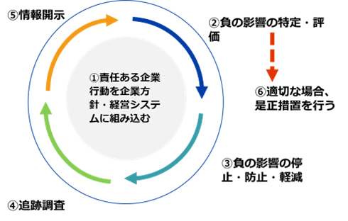 (1)責任ある企業行動を企業方針・経営システムに組み込む、(2)負の影響の特定・評価、(3)負の影響の停止・防止・軽減、(4)追跡調査、(5)情報開示、(6)適切な場合、是正措置を行うという6つのステップがある。