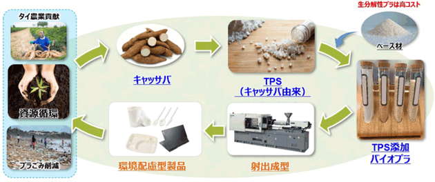 キャッサバから抽出される熱可塑性でんぷん(TPS)にベース材を混和することでバイオマスプラスチックコンパウンドを製造し、環境配慮型製品を製造。タイ農業への貢献、資源循環、プラごみ削減につなげる。