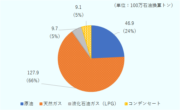 2024年のソナトラックの炭化水素一次生産量の内訳は、天然ガスが127.9（100万石油換算トン）で全体の66％を占める。原油は46.9（100万石油換算トン）で24％となっている。 