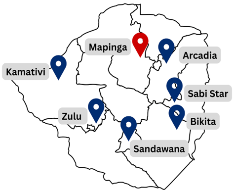本図は、ジンバブエ国内に所在する主要な鉱山・資源開発関連地点の地理的分布を示したものである。カマティビ（Kamativi）、ズールー（Zulu）、サンダワナ（Sandawana）、ビキタ（Bikita）、サビ・スター（Sabi Star）、アルカディア（Arcadia）など、各地に分散して立地していることが分かる。 