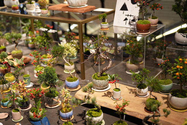 ポップアップショップでの様子