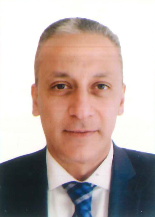 Mr. Tamer SHAFIK