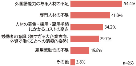 回答企業数は263。「外国語能力のある人材の不足」との回答が54.4％、「専門人材の不足」との回答が41.8％、「人材の募集・採用・雇用手続にかかるコストの高さ」との回答が34.2％、「労働者の意識（強すぎる大企業志向、外資で働くことへの消極的な姿勢）」との回答が29.7％、「雇用流動性の不足」との回答が19.8％、「その他」との回答が3.8％であった。