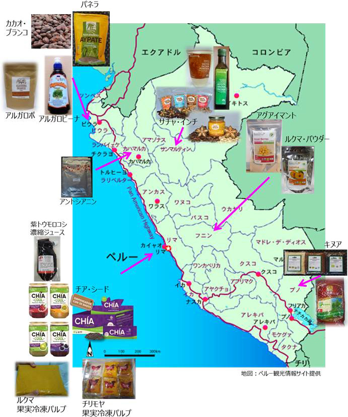 対象産品のペルー国内の主な産地・加工所を表した地図 ピウラ州：アルガロボ、アルガロビーナ、カカオ・ブランコ、パネラの産地・加工所 カハマルカ州：アントシアニンの産地・加工所 サンマルティン州：サチャ・インチの産地・加工所 リマ州：チア・シード、チリモヤ（果実冷凍パルプ）、紫トウモロコシ（濃縮ジュース）、ルクマ（果実冷凍パルプ）の加工所 フニン州：アグアイマント、ルクマ・パウダーの加工所 プノ州：キヌアの産地・加工所