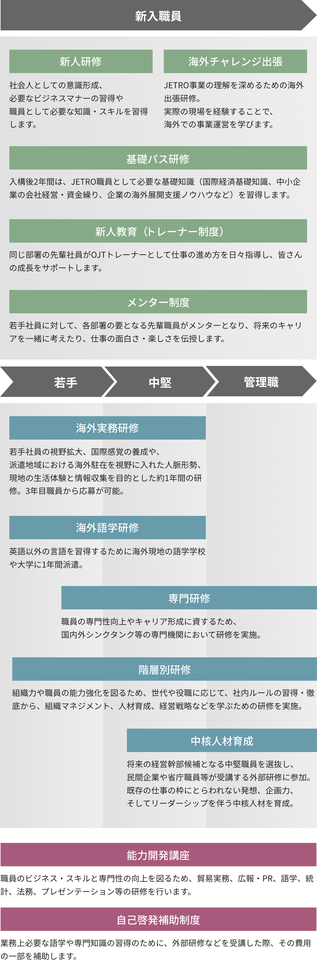 新入職員 社会人としての意識形成、必要なビジネスマナーの習得や職員として必要な知識・スキルを習得します。海外チャレンジ出張 JETRO事業の理解を深めるための海外出張研修。実際の現場を経験することで、海外での事業運営を学びます。基礎パス研修 入構後2年間は、JETRO職員として必要な基礎知識(国際経済基礎知識、中小企業の会社経営・資金繰り、企業の海外展開支援ノウハウなど)を習得します。新人教育(トレーナー制度) 同じ部署の先輩社員がOJTトレーナーとして仕事の進め方を日々指導し、皆さんの成長をサポートします。メンター制度 若手社員に対して、各部署の要となる先輩職員がメンターとなり、将来のキャリアを一緒に考えたり、仕事の面白さ・楽しさを伝授します。若手 中堅 海外実務研修 若手社員の視野拡大、国際感覚の養成や、派遣地域における海外駐在を視野に入れた人脈形勢、現地の生活体験と情報収集を目的とした約1年間の研修。3年目職員から応募が可能。海外語学研修 英語以外の言語を習得するために海外現地の語学学校や大学に1年間派遣。専門研修 職員の専門性向上やキャリア形成に資するため、国内外シンクタンク等の専門機関において研修を実施。階層別研修 組織力や職員の能力強化を図るため、世代や役職に応じて、社内ルールの習得・徹底から、組織マネジメント、人材育成、経営戦略などを学ぶための研修を実施。中核人材育成 将来の経営幹部候補となる中堅職員を選抜し、民間企業や省庁職員等が受講する外部研修に参加。既存の仕事の枠にとらわれない発想、企画力、そしてリーダーシップを伴う中核人材を育成。能力開発講座 職員のビジネス・スキルと専門性の向上を図るため、貿易実務、広報・PR、語学、統計、法務、プレゼンテーション等の研修を行います。 なお、語学教材・書籍の貸し出しも常時行っています。 自己啓発補助制度 業務上必要な語学や専門知識の習得のために、外部研修などを受講した際、その費用の一部を補助します。