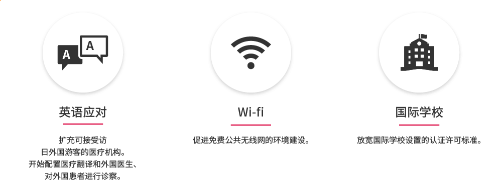 英语应对:扩充可接受访日外国游客的医疗机构。开始配置医疗翻译和外国医生,对外国患者进行诊察。Wifi:促进免费公共无线网的环境建设。国际学校:放宽国际学校设置的认证许可标准。
