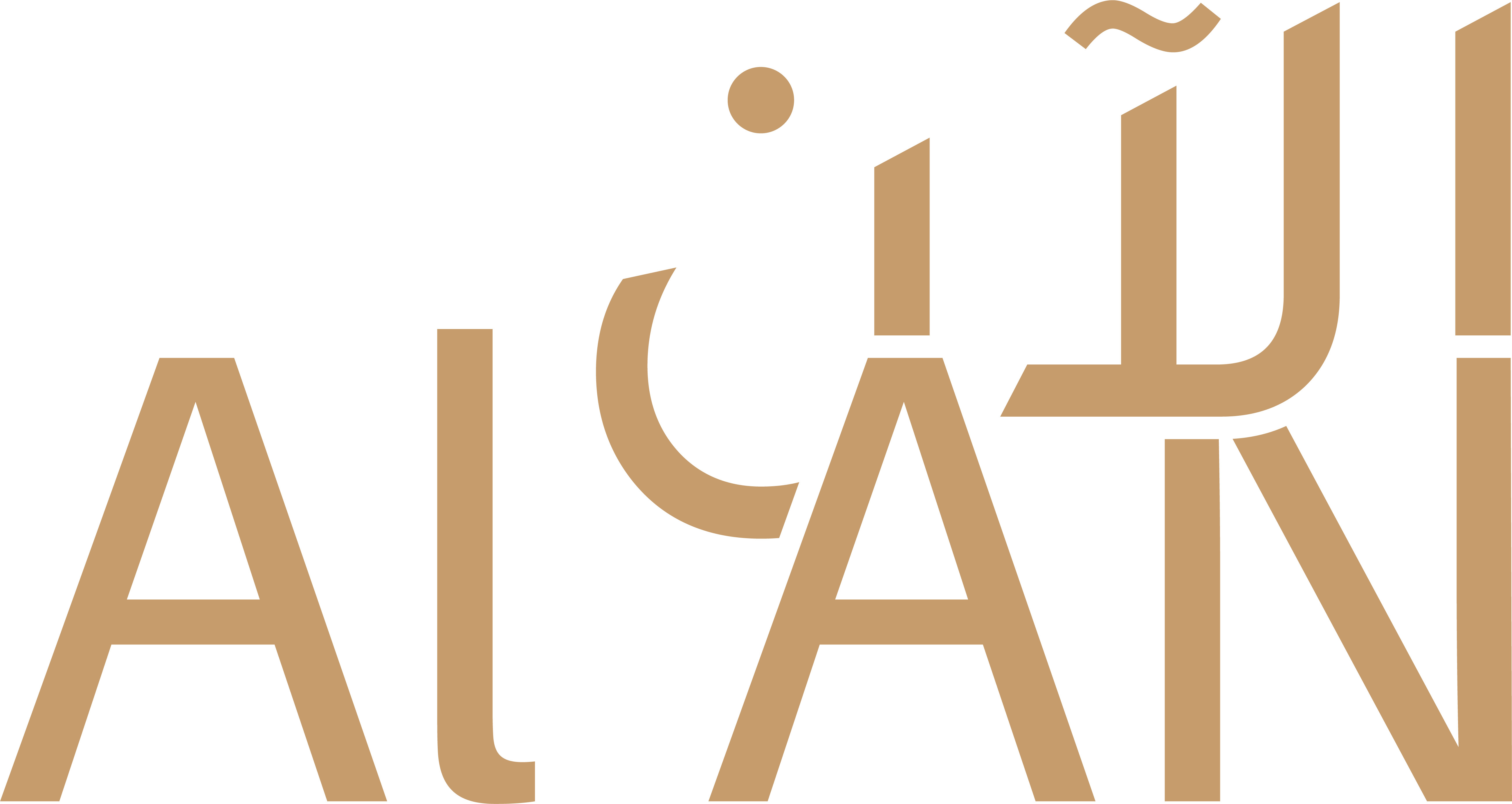 company logo
