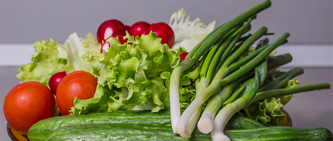 Smart Agriculture Industry in Japan