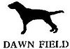 DAWN　FIELDと英語を追加した犬形の商標