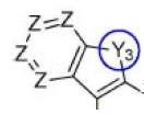 この図は、先行発明の一般式(1)の化合物のB環としての化学式を表している。