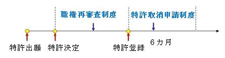 特許登録前後のタイムライン