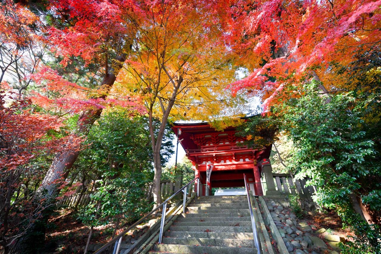 木幡神社（国指定重要文化財）