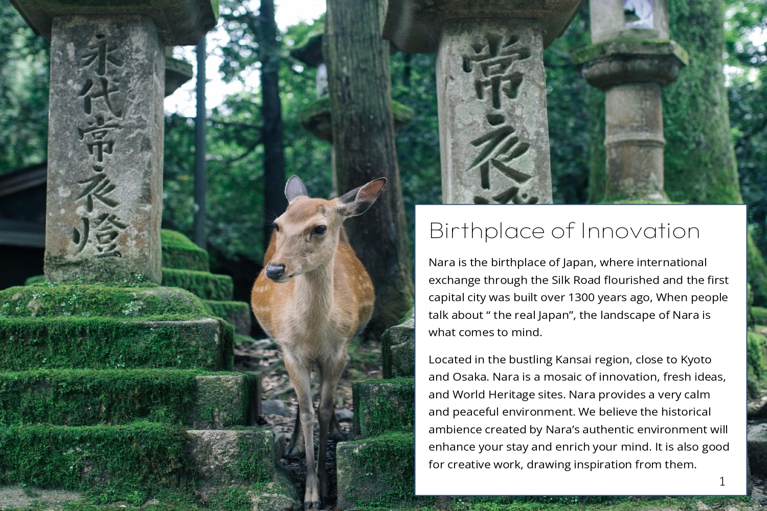 Birthplace of Innovation