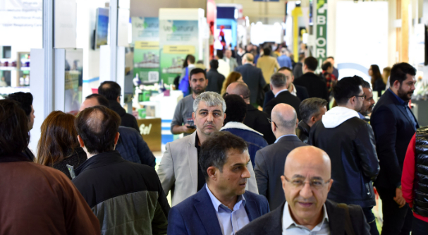 A modal window will open.