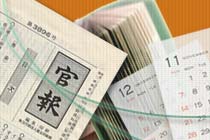 Japanese Government Procurement