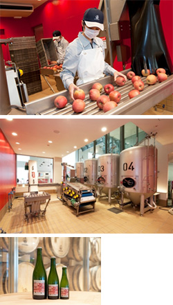photo photo