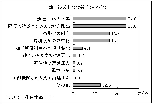 図5　経営上の問題点（その他）