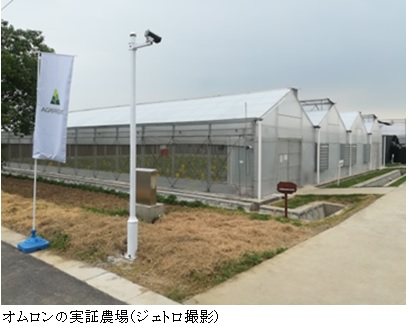 写真　オムロンの実証農場（ジェトロ撮影）