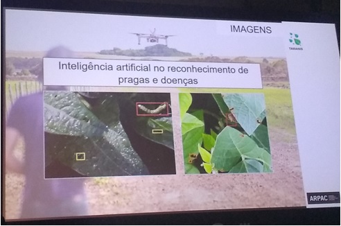 写真　ドローンに搭載したカメラで作物への害虫と病気を撮影し、AIで識別する様子「アルパックのプレゼンテーション資料」（ジェトロ撮影）