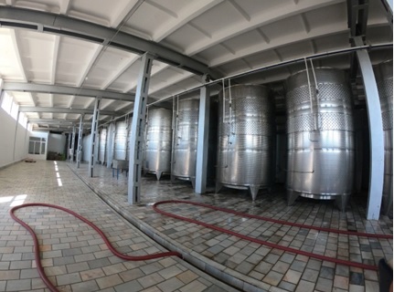 写真　主発酵工程のタンク（ジェトロ撮影）