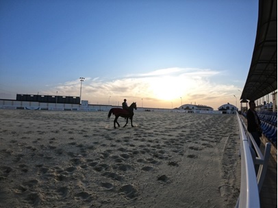 写真　乗馬センター「馬の谷」。現在、48頭を飼育。馬に親しむことができる（ジェトロ撮影）