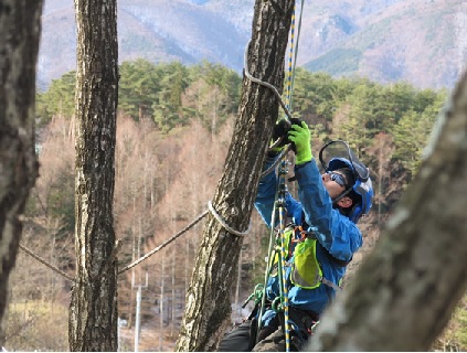 写真　高い樹木にロープ1本で登り、樹木の剪定（せんてい）・伐採を行う特殊伐採の様子。この際に使用するクライミング装置の開発にコロンビアのスタートアップが関わっている（同社提供）
