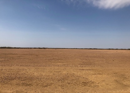 写真　トゥルカナ（果てしなく広がる乾いた大地の下に原油が眠る）（8月1日、ジェトロ撮影）