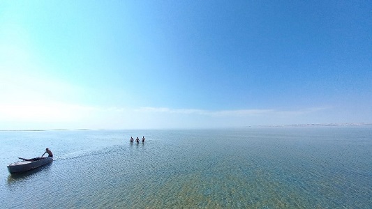 写真　アラル海（ジェトロ撮影）