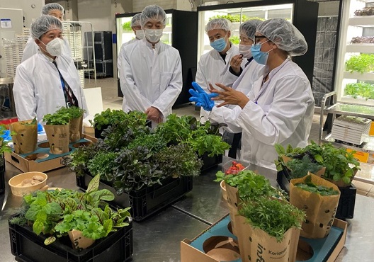 写真　「スマート栽培ユニット」でさまざまな野菜を栽培可能（インファーム提供）