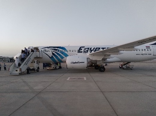 写真　エジプト航空の機体（ジェトロ撮影）