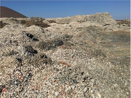 写真　環境問題となっている廃棄貝殻の山（バイオブレーク・インダストリーズ提供）