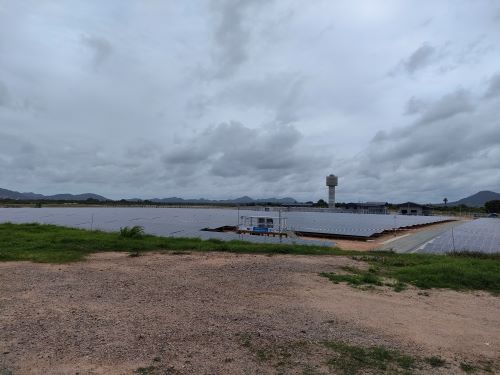 写真　太陽光パネルの敷設が進んでいる（ジェトロ撮影）